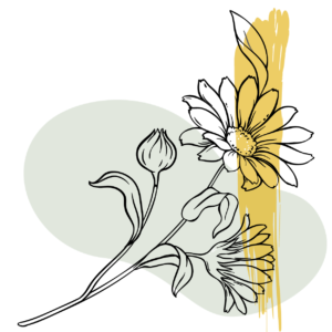 A graphic of the outline of an arnica flower on a green and yellow background